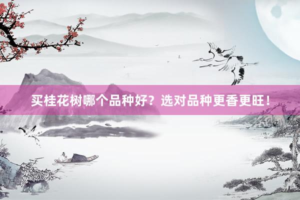 买桂花树哪个品种好？选对品种更香更旺！