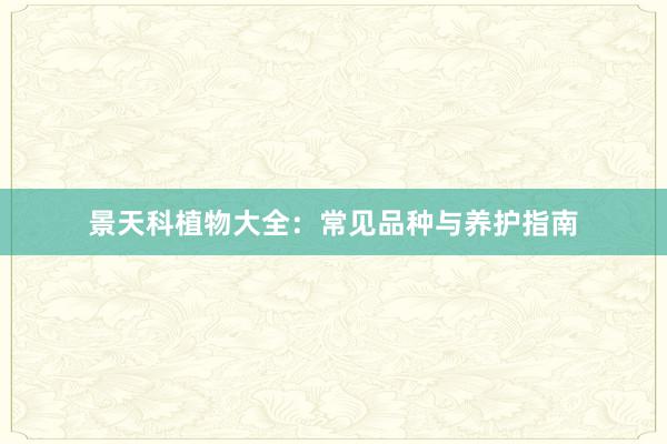 景天科植物大全：常见品种与养护指南