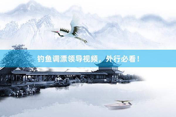钓鱼调漂领导视频，外行必看！