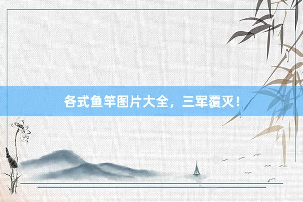 各式鱼竿图片大全，三军覆灭！